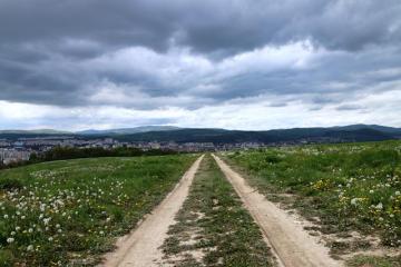 Poľná cesta na Heringeši II Poľná cesta na Heringeši II